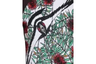 Swooping Magpie mid swoop - front detail